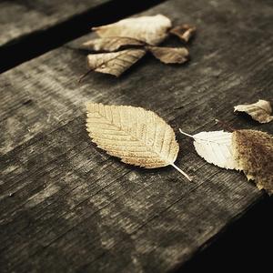 男吸女奶头A片免费观看
